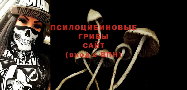 гашиш Богородск