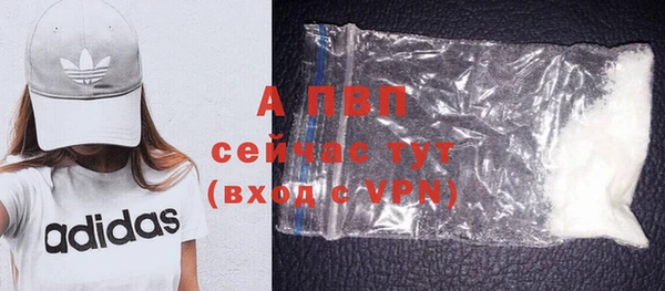 mdpv Богородицк