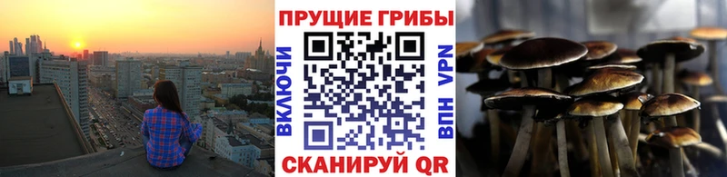 Галлюциногенные грибы Magic Shrooms  гидра онион  Канаш  купить  цена 